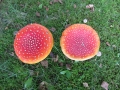 w-IMG_0018