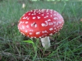 w-IMG_0019